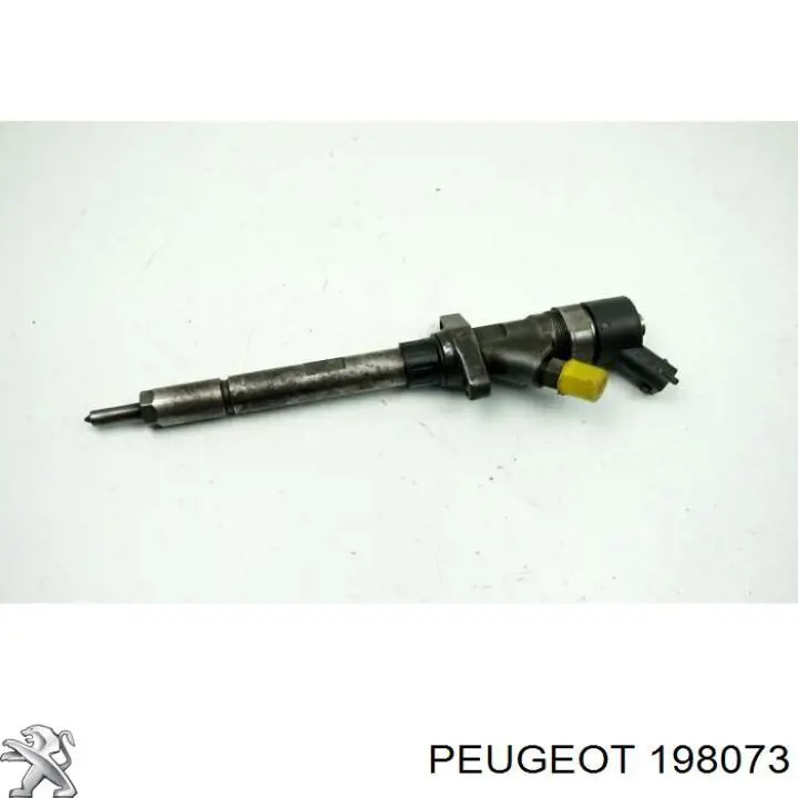 198073 Peugeot/Citroen inyector