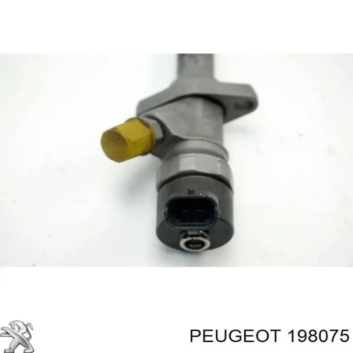 198075 Peugeot/Citroen inyector