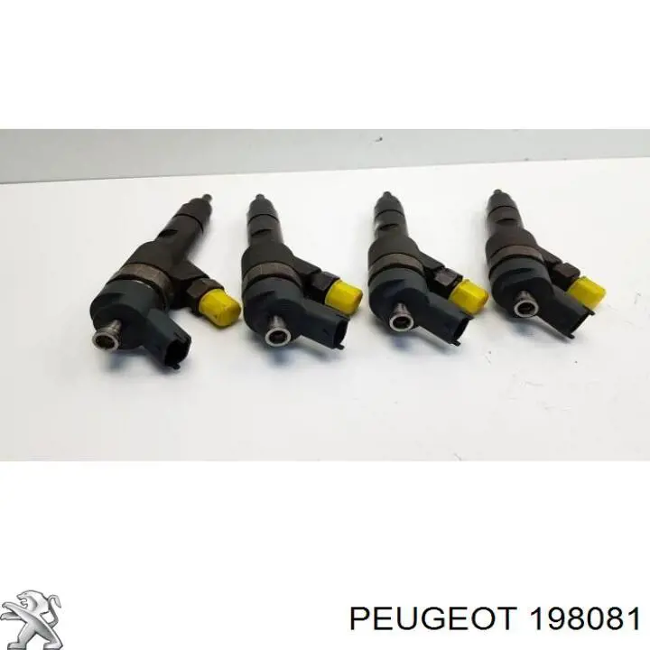 198081 Peugeot/Citroen inyector