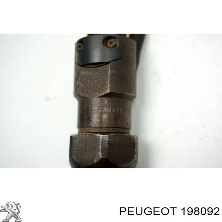 Comprar 198092 Peugeot/Citroen Inyector