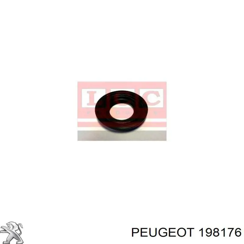 198176 Peugeot/Citroen junta anular, cavidad bujía