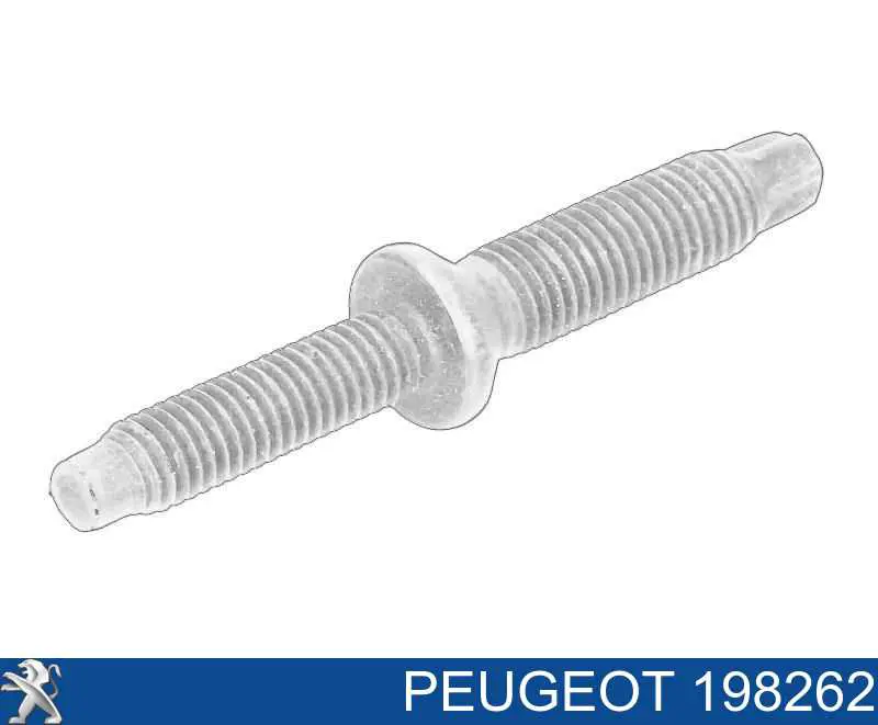 Comprar DRM0619 Dr.motor Tornillo de fijación del inyector