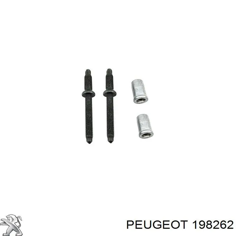 Comprar 198262 Peugeot/Citroen Tornillo de fijación del inyector