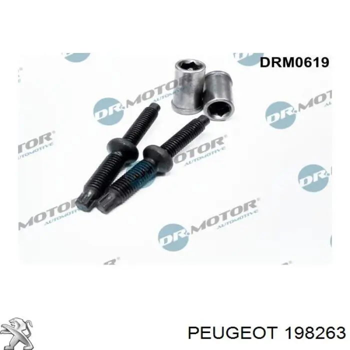 Tuerca, montaje de inyector para Peugeot 308 