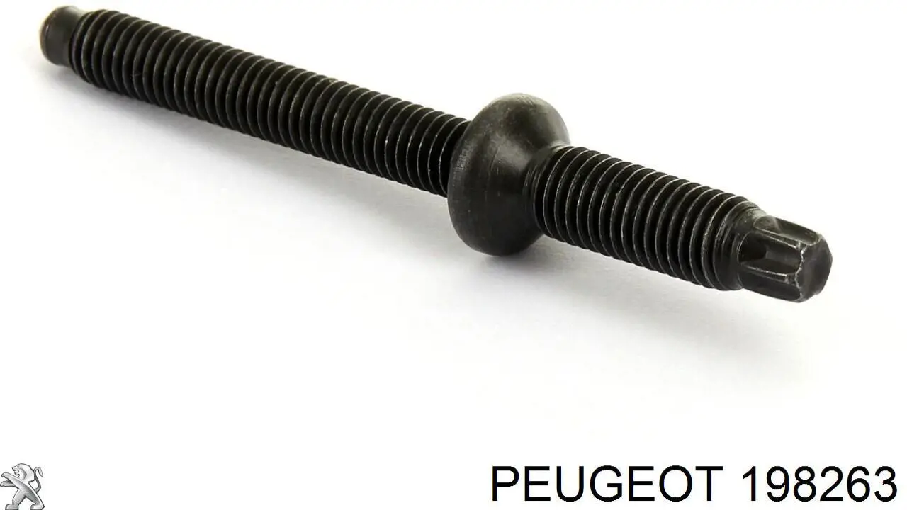 Tuerca de fijación del inyector Peugeot/Citroen 198263 precio, desde 3,09 EUR