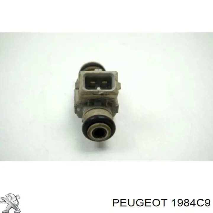 Inyector-bomba Peugeot/Citroen 1984C9