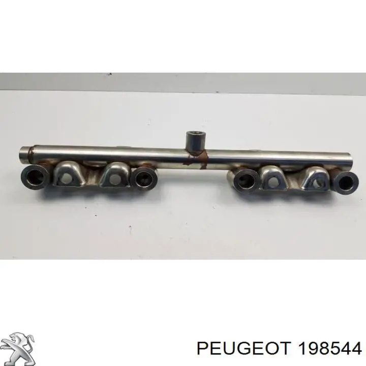 Rampa de combustible Peugeot/Citroen 198544 precio, desde 194,57 EUR