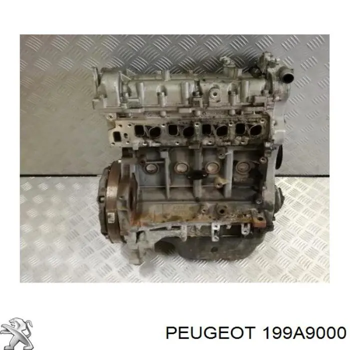 199A9000 Peugeot/Citroen motor completo