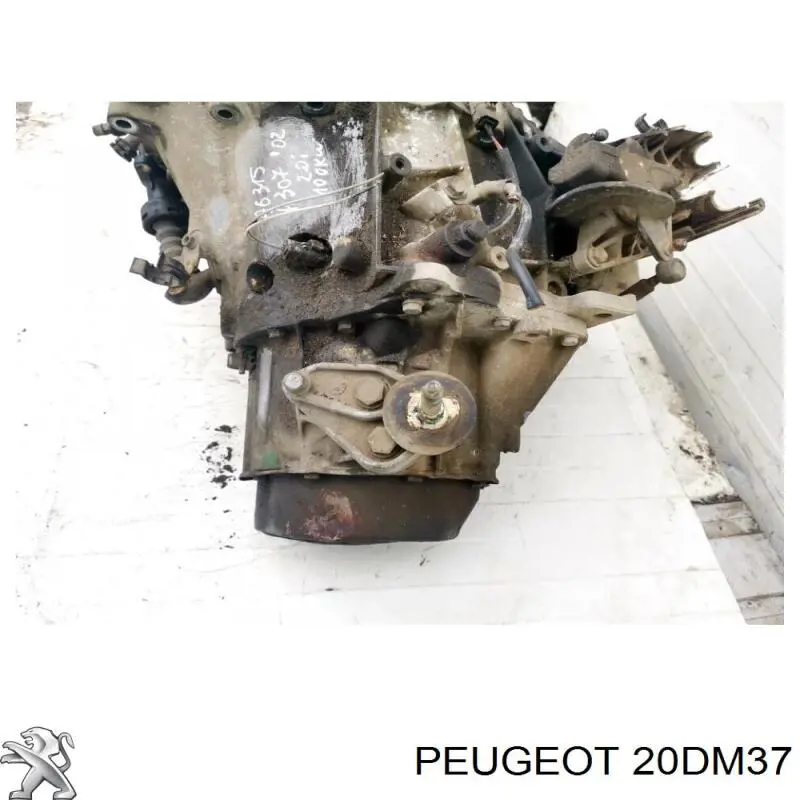 20DM37 Peugeot/Citroen Transimisión manual