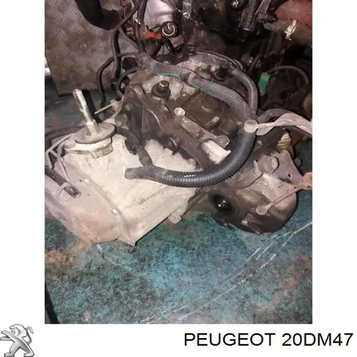 Comprar 20DM47 Peugeot/Citroen Caja de cambios mecánica completa