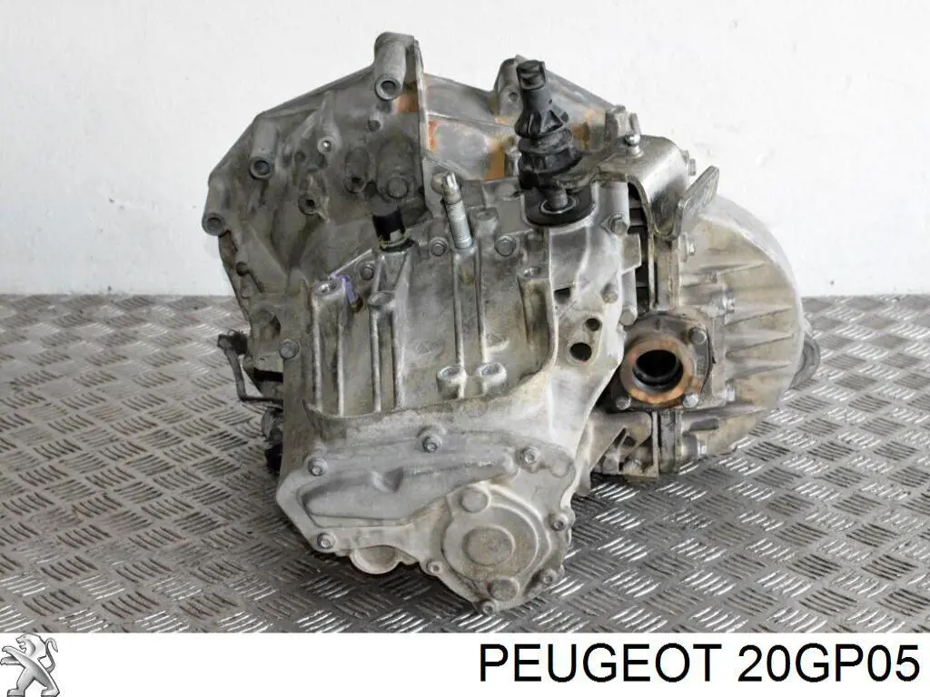 20GP05 Peugeot/Citroen