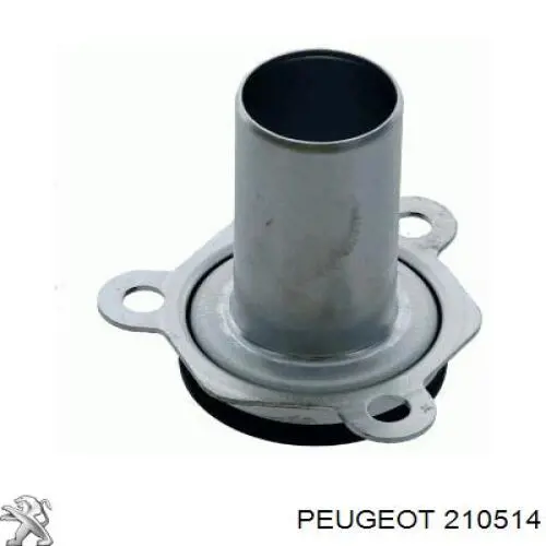 Guía del eje primario de la caja de cambios 210514 Peugeot/Citroen