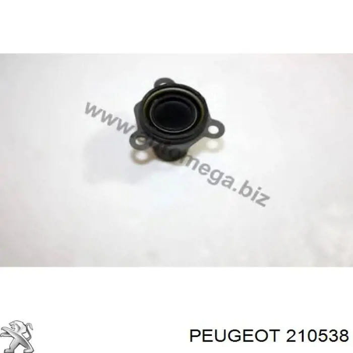 Comprar 210538 Peugeot/Citroen Guía del eje primario de la caja de cambios
