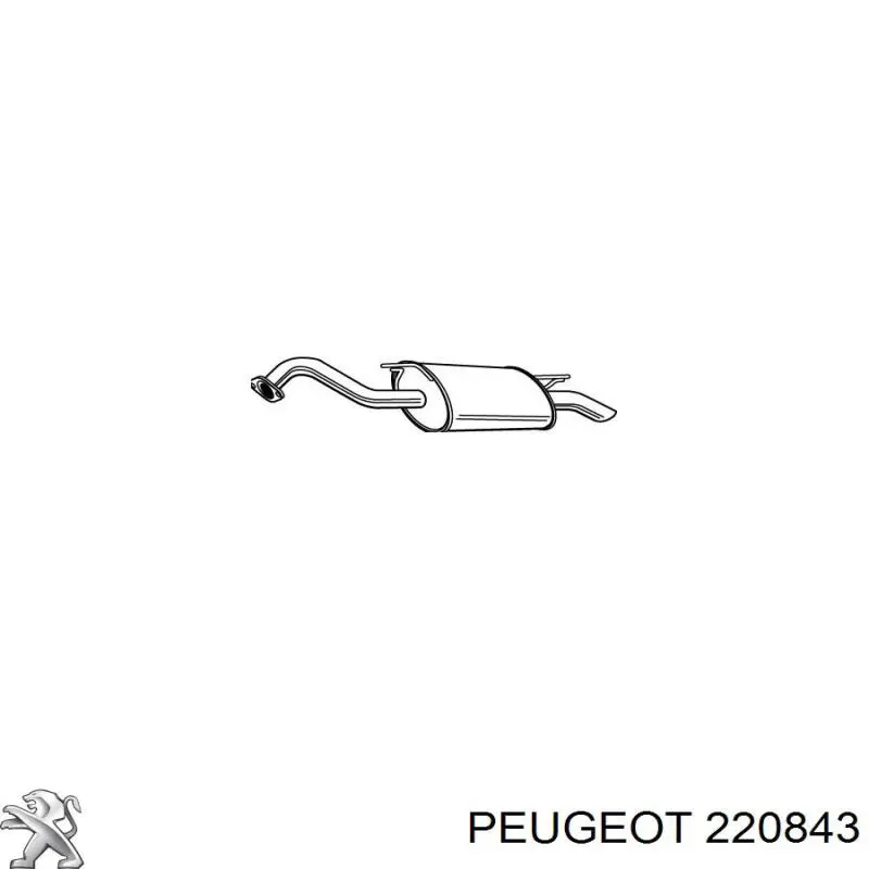 220843 Peugeot/Citroen 