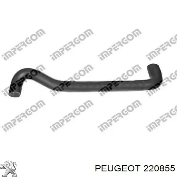 220855 Peugeot/Citroen tornillo obturador caja de cambios