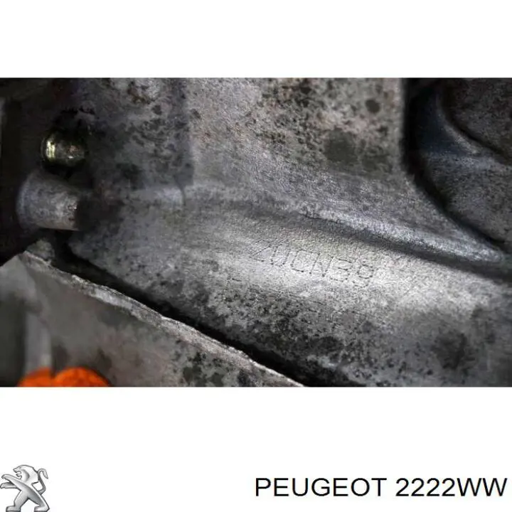 2222WW Peugeot/Citroen caja de cambios mecánica, completa