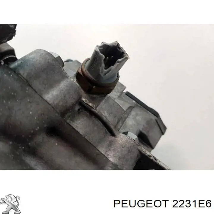 2231E6 Peugeot/Citroen Transimisión manual