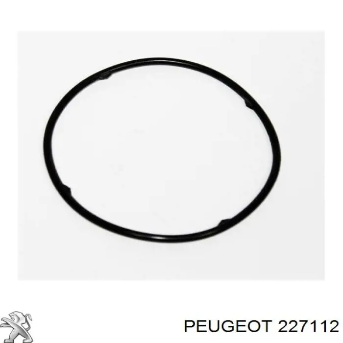 227112 Peugeot/Citroen anillo obturador, filtro de transmisión automática