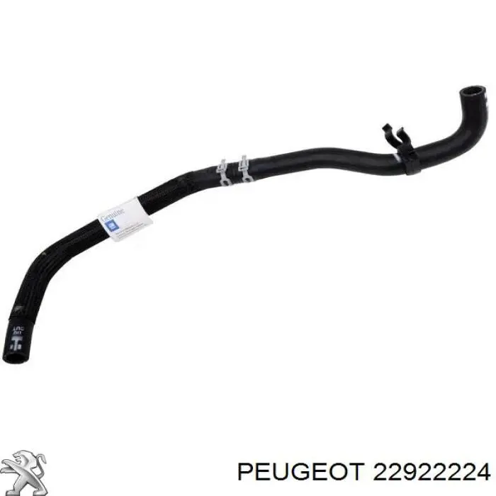 Sensor de nivel de refrigerante del depósito 22922224 Peugeot/Citroen