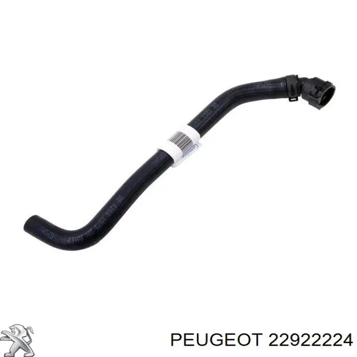 22922224 Peugeot/Citroen Sensor de nivel de refrigerante del depósito
