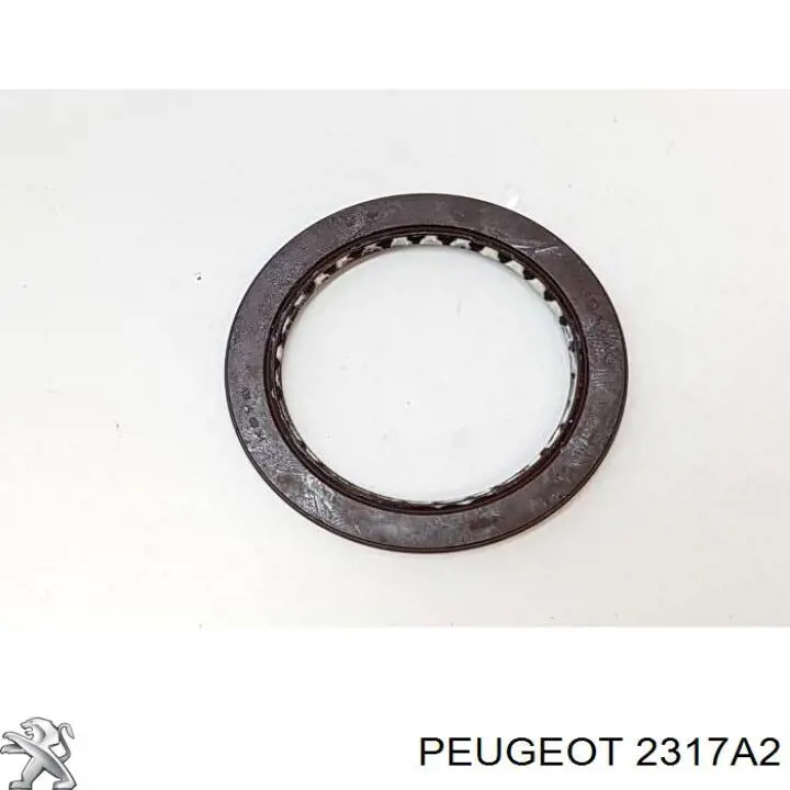 2317A2 Peugeot/Citroen cojinete del eje de salida de la caja de engranaje