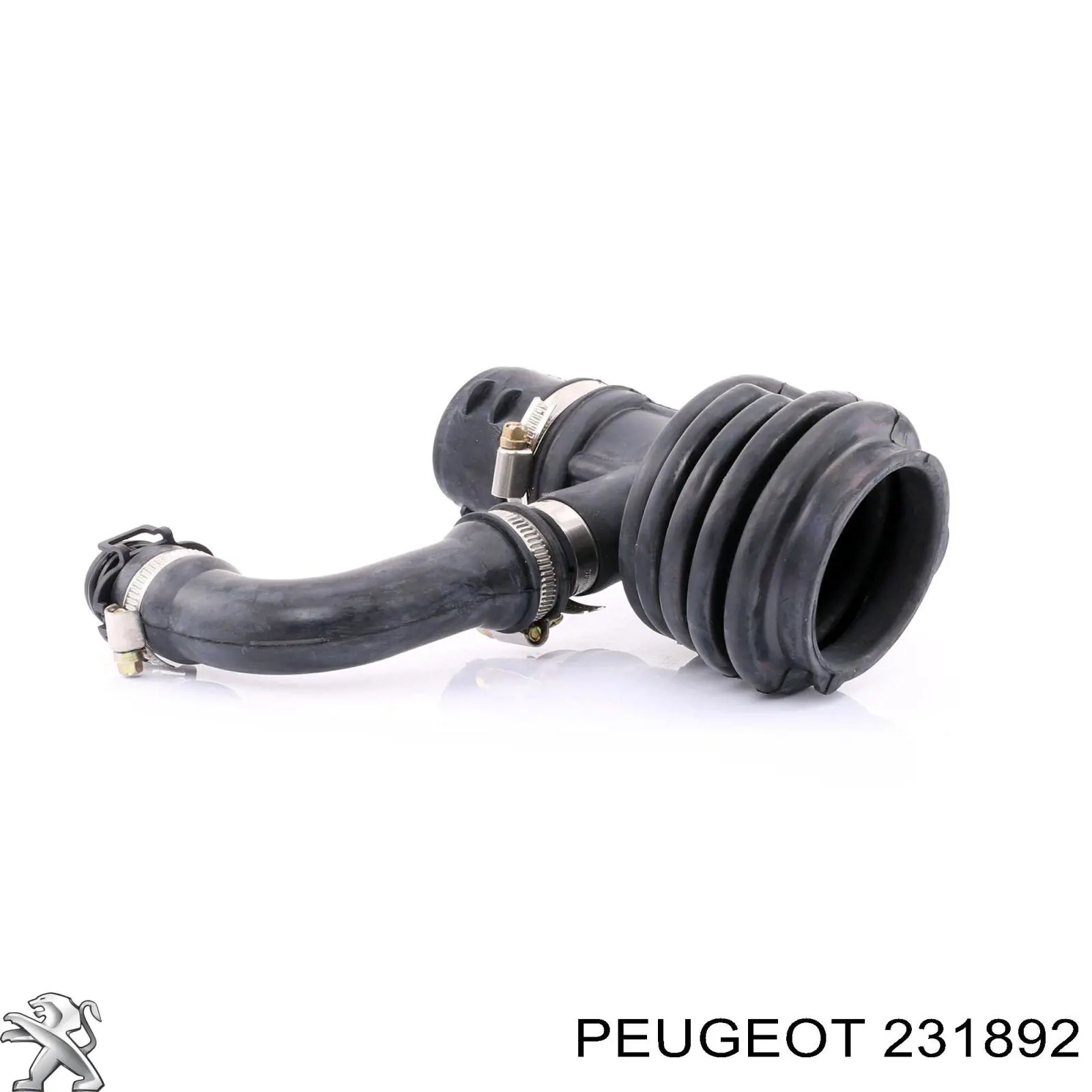 231892 Peugeot/Citroen 