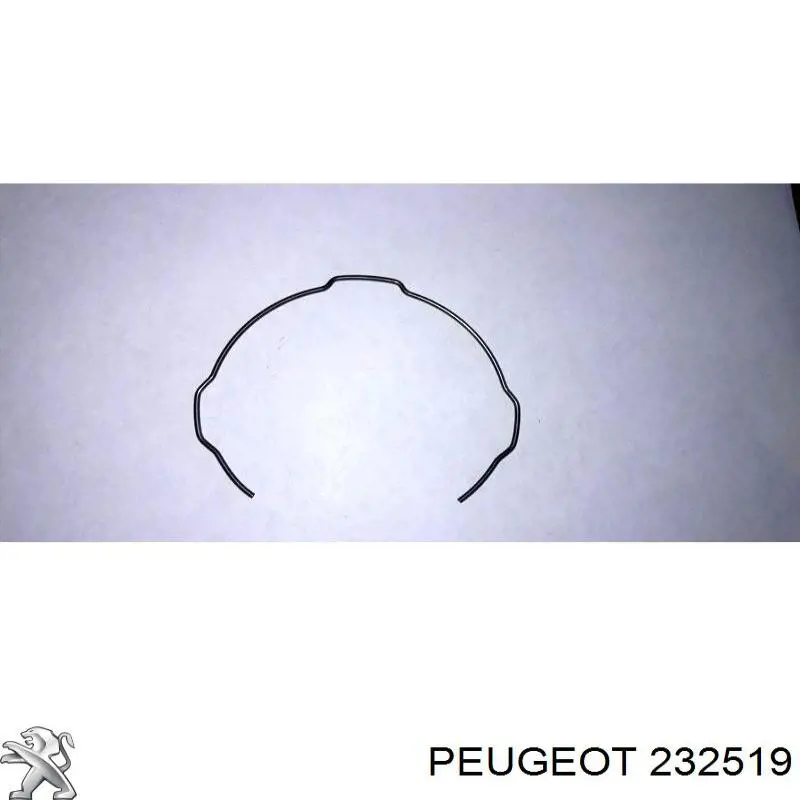 232519 Peugeot/Citroen resorte sincronizador de caja de cambios