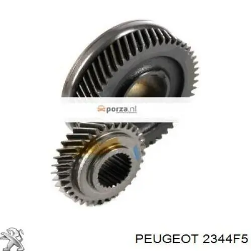 Piñón toma, 5a marcha Peugeot 406 8B