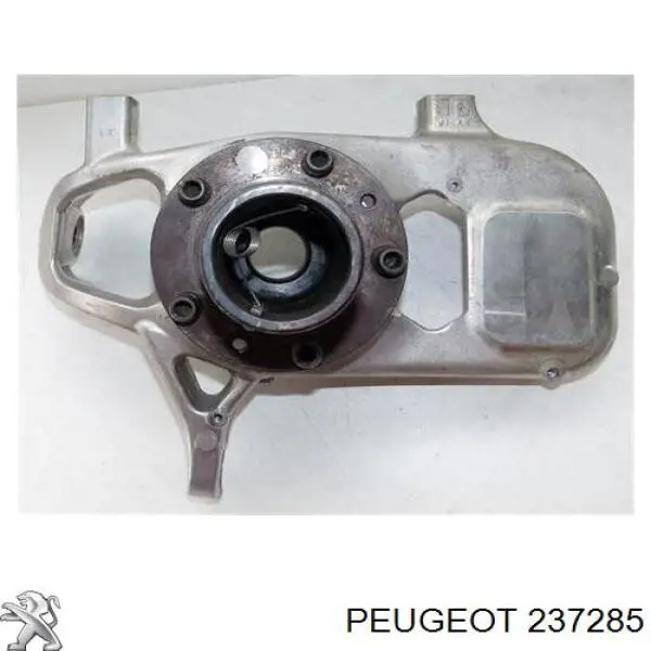237285 Peugeot/Citroen cojinete del eje de salida de la caja de engranaje