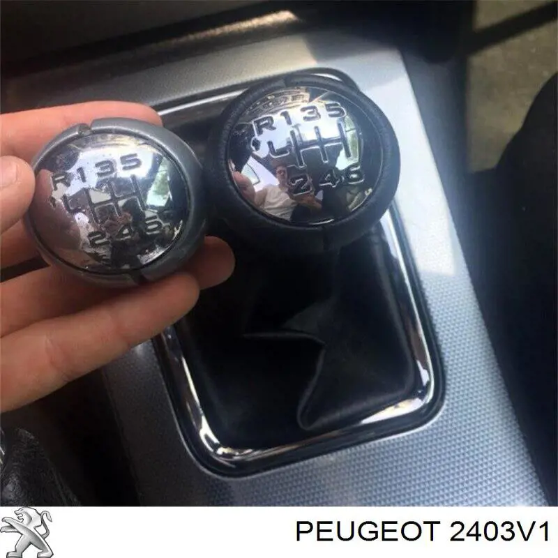 Pomo de palanca de cambios 2403V1 Peugeot/Citroen