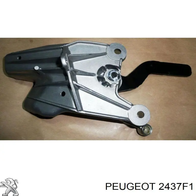 00002437F1 PEUGEOT/CITROEN Soporte de fijación de un cable del punto de ...