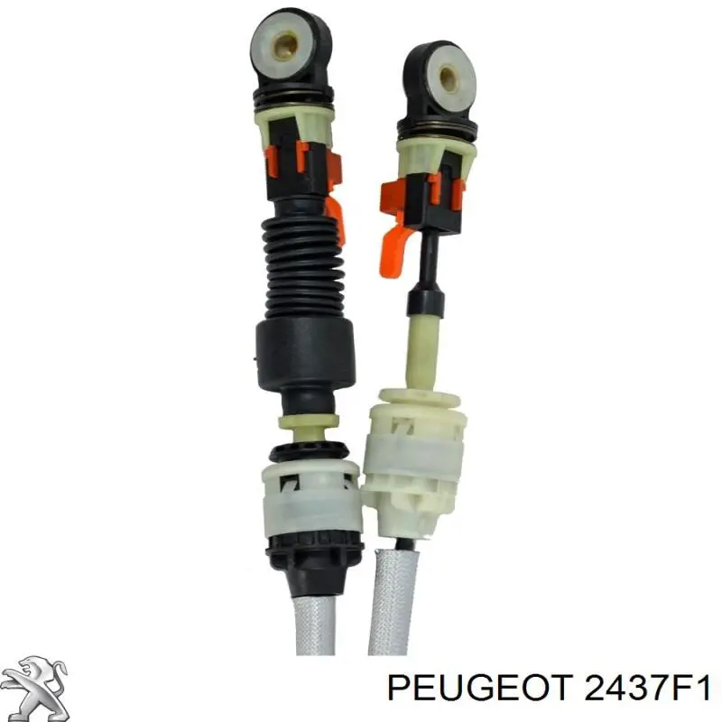 00002437F1 PEUGEOT/CITROEN Soporte de fijación de un cable del punto de ...