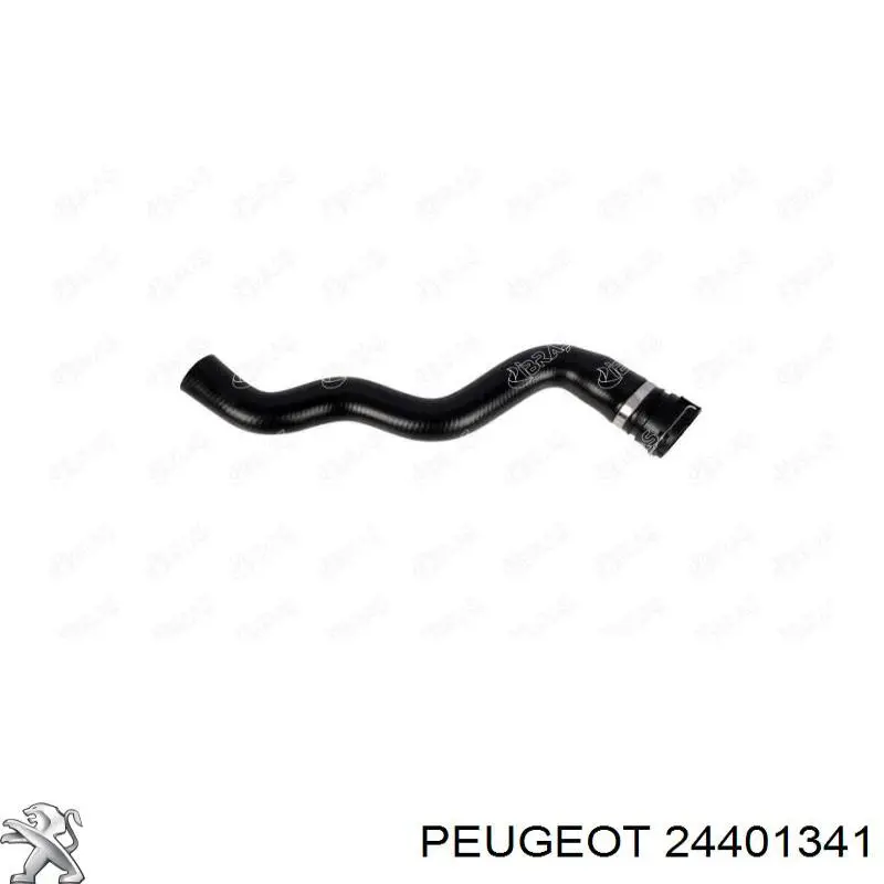 24401341 Peugeot/Citroen junta, sensor de nivel de combustible, bomba de combustible (depósito de combustible)