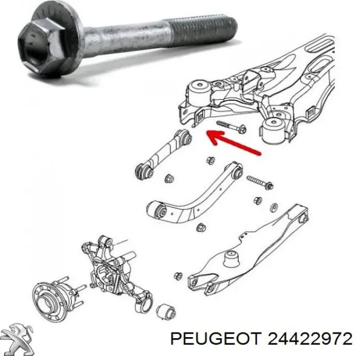 24422972 Peugeot/Citroen perno de fijación, brazo oscilante inferior trasero,interior