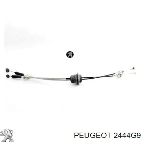 Cable de accionamiento de caja de cambios Peugeot/Citroen 2444G9 precio, desde 119,82 EUR