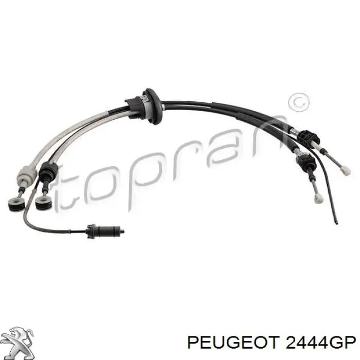 Cable de accionamiento de caja de cambios Peugeot/Citroen 2444GP precio, desde 107,62 EUR