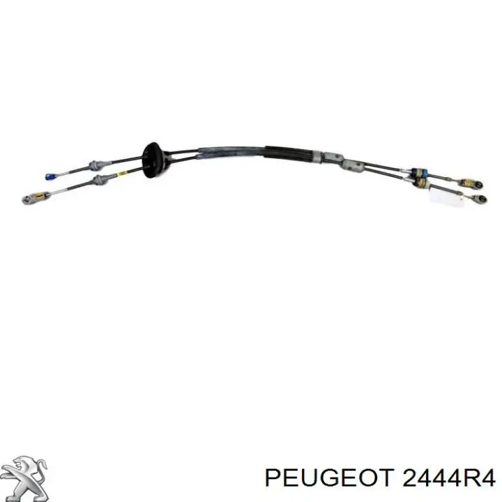 Comprar 2444R4 Peugeot/Citroen Cable de caja de cambios