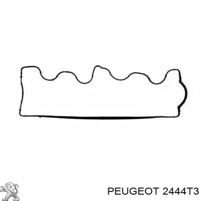 2444T3 Peugeot/Citroen cable de caja de cambios