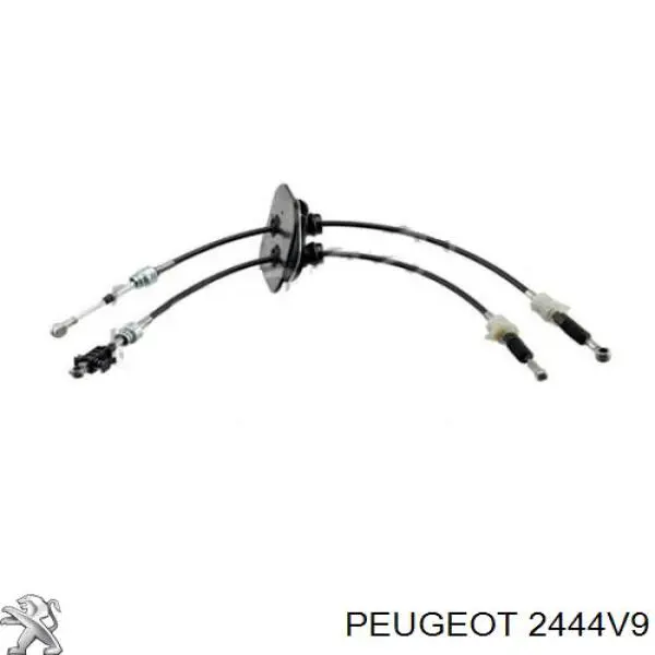 Cables de caja de cambios 2444V9 Peugeot/Citroen