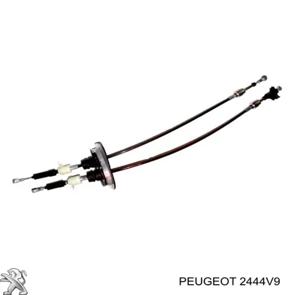 Cable de palanca de cambios Peugeot/Citroen 2444V9