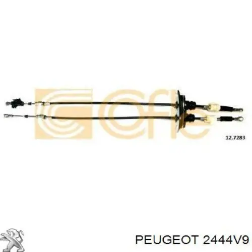 2444V9 Peugeot/Citroen cables de accionamiento, caja de cambios