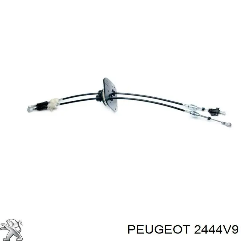 Cable de accionamiento de caja de cambios Peugeot/Citroen 2444V9 precio, desde 65,26 EUR