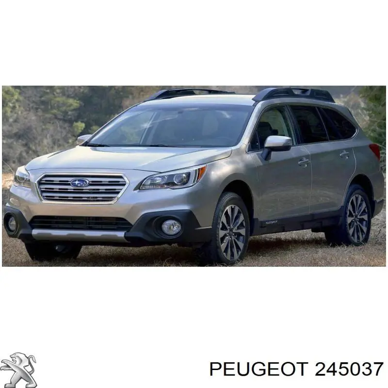 0000245037 Peugeot/Citroen