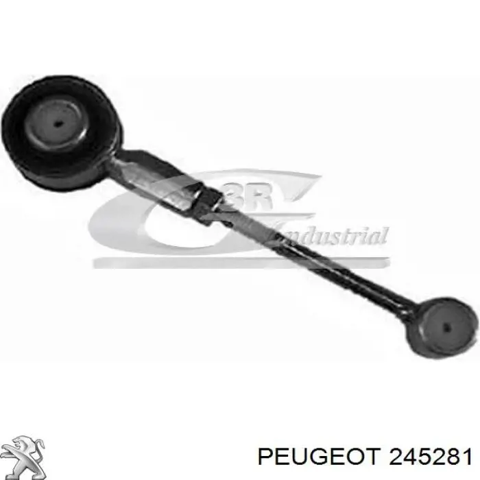 Varilla selectora de la transmisión Peugeot/Citroen 245281 precio, desde 7,59 EUR
