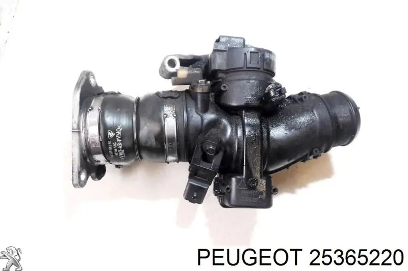 25365220 Peugeot/Citroen 
