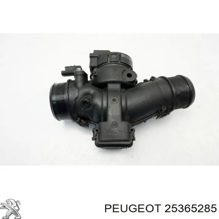 Comprar 25365285 Peugeot/Citroen Cuerpo de mariposa