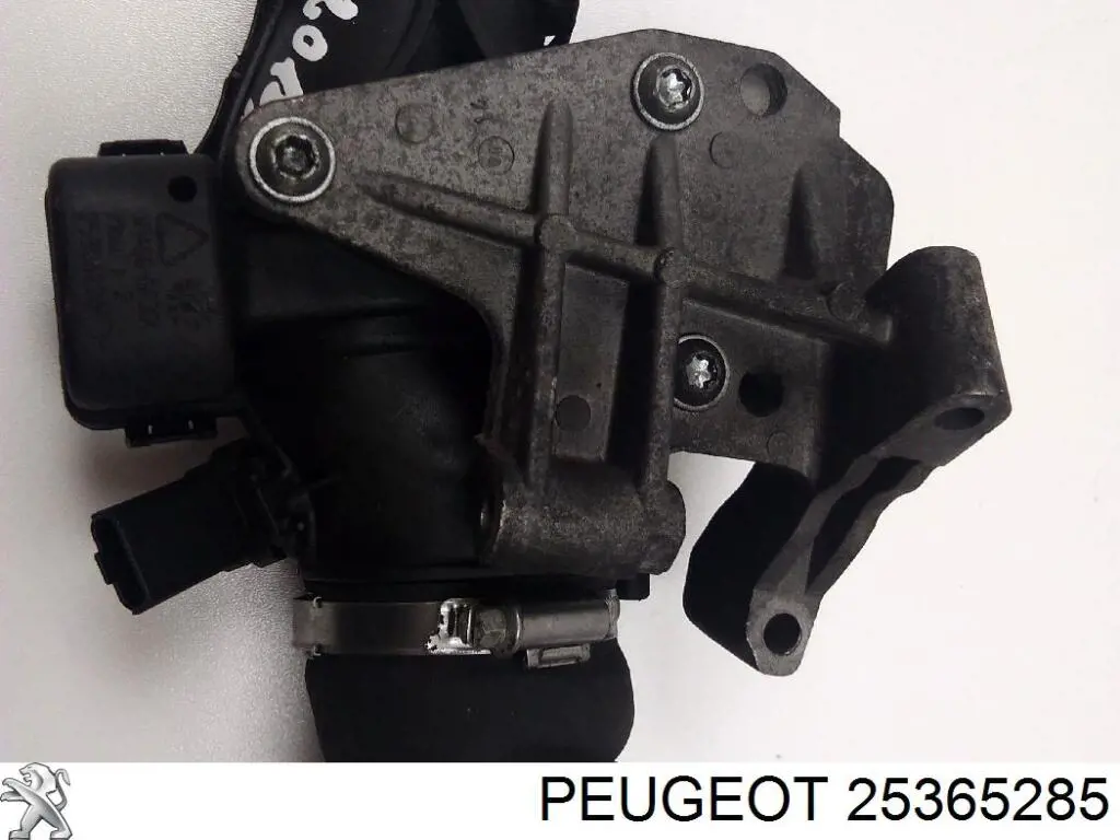 Cuerpo de aceleración completo Peugeot/Citroen 25365285 precio, desde 45,01 EUR