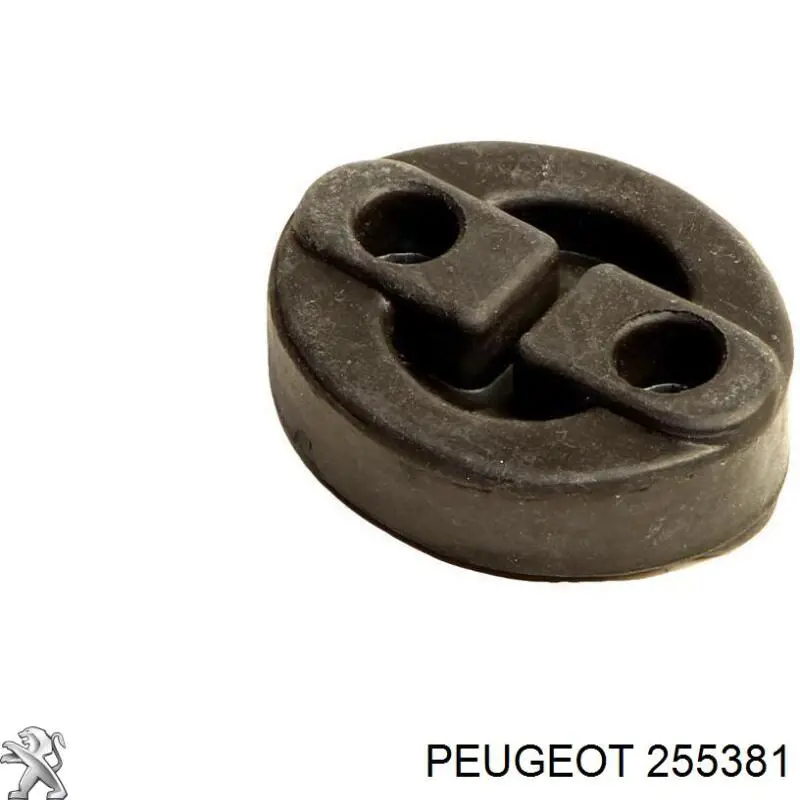 255381 Peugeot/Citroen 
