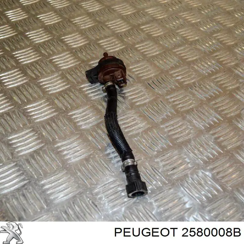  2580008B Peugeot/Citroen