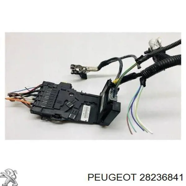 28236841 Peugeot/Citroen Caja de relés y fusibles